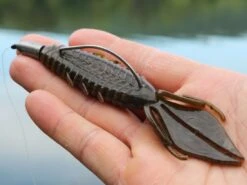 X Zone Lures Pro Series Adrenaline Bug -Strike King Store lifestyle adrenaline andrewnordbye 01