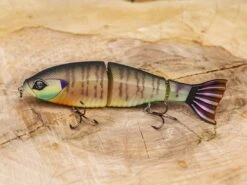 Googan Squad Contender -Strike King Store lifestyle contender 01