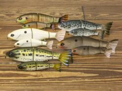 Googan Squad Contender -Strike King Store lifestyle contenderandjr 4