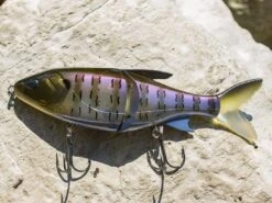 Front Page -Strike King Store lifestyle glidesdale 13f 03