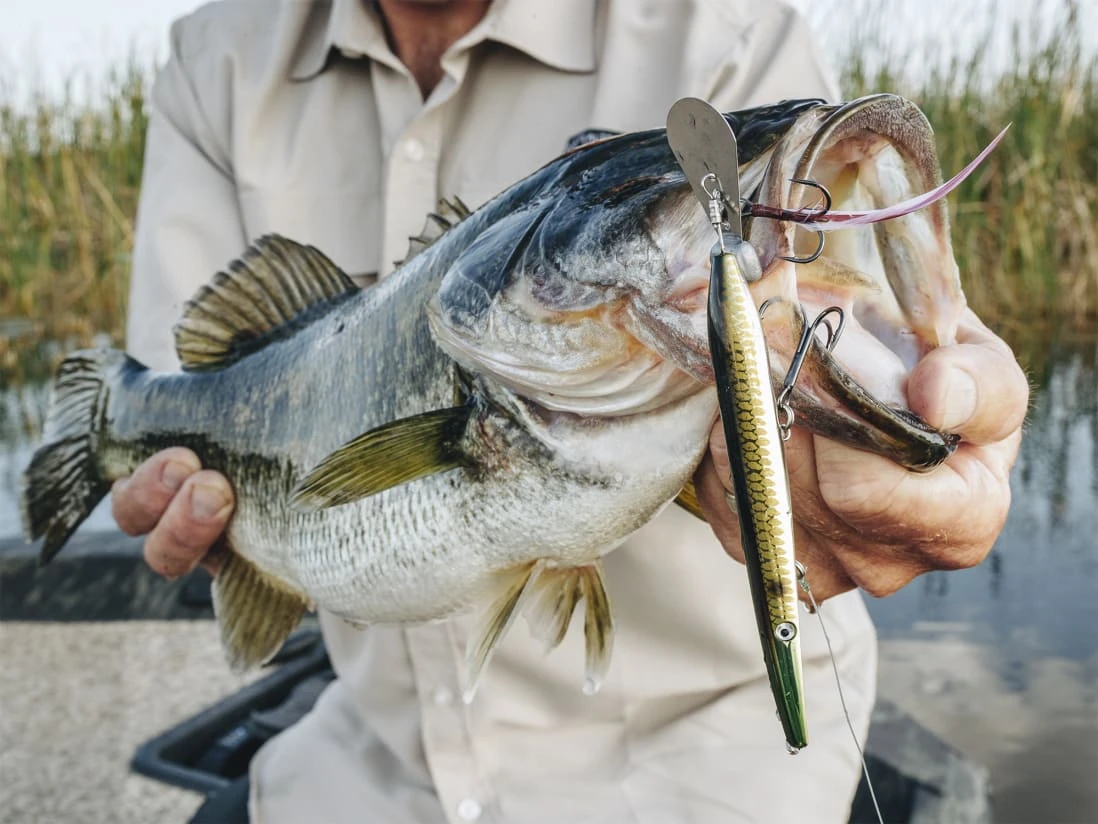 Z-Man Hellraizer 5 Z-Man Hellraizer - Image 3