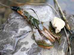 Karl's Amazing Baits Hoss Craw 3.8" 7 Karl's Amazing Baits Hoss Craw 3.8" -Strike King Store lifestyle hosscraw andrewnordbye 02