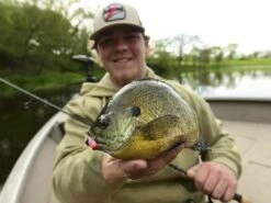 Z-Man Larvaz 14 Z-Man Larvaz -Strike King Store lifestyle larvaz zman fishingshot 1