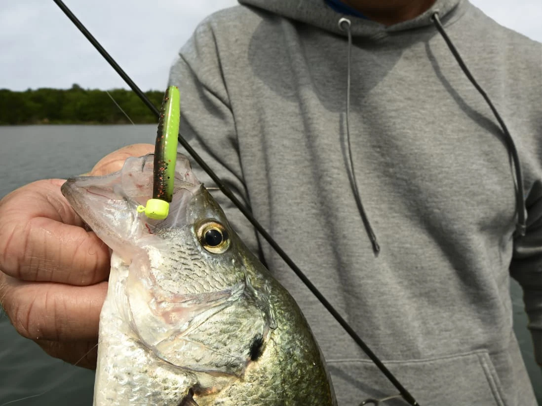 Z-Man Micro TRD 4 Z-Man Micro TRD - Image 2