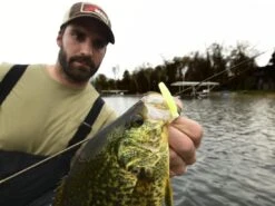 Z-Man Micro TRD 11 Z-Man Micro TRD -Strike King Store lifestyle microtrd zman glowchartreuse 1