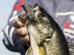 Z-Man Midwest Finesse Swim Jig 11 Z-Man Midwest Finesse Swim Jig -Strike King Store lifestyle midwestfinesseswimjig zman bluegill 2
