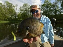 Z-Man Tiny Ticklerz 15 Z-Man Tiny Ticklerz -Strike King Store lifestyle tinyticklerz zman fishhand 1