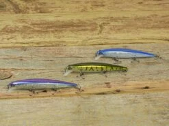 Googan Squad Scout -Strike King Store scout lifestyle