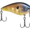 Strike King KVD 2.5 Wake Bait 1 Strike King KVD 2.5 Wake Bait -Strike King Store strikeking bluegill kvdwakebait 10 01 stk 10015a 1