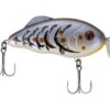 Strike King Hybrid Hunter Crankbait 1 Strike King Hybrid Hunter Crankbait -Strike King Store strikeking hybridhunter 10 01 stk 10077c 1