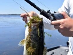 Fitzgerald Fishing VLD 10 Baitcasting Reel 9 Fitzgerald Fishing VLD 10 Baitcasting Reel -Strike King Store vldlifestyle